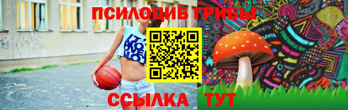 Красногорск  Галлюциногенные грибы прущие грибы  Псилоцибиновые грибы мухоморы  Вход с VPN 